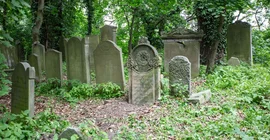 Der jüdische Friedhof in Skwierzyna. Das Foto ist von Justyna Hrabska.