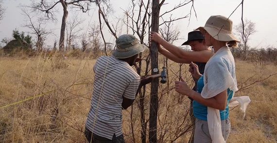 Datenerhebung im Mudumu-Nationalpark, Namibia