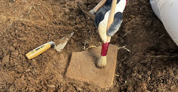 Auf sandigem Boden liegt eine freigelegte fast A4-Blatt-große Scherbe. Eine Hand im Handschuhe legt sie mit einem Pinsel weiter frei.