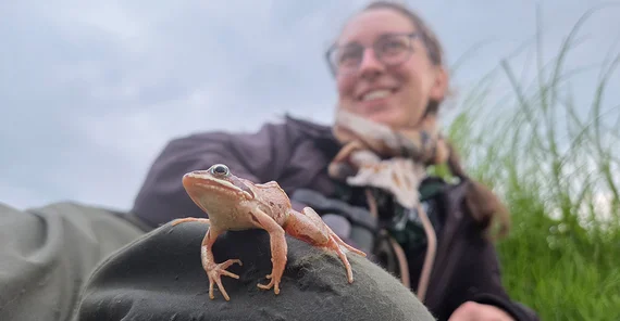 Ein Springfrosch im Bildvordergrund auf dem Knie einer Studentin.