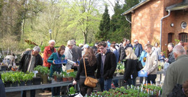 Pflanzenbasar, Foto: Botanischer Garten