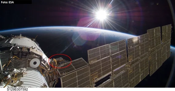 Internationale Raumstation (ISS). Zwischen dem Swesda-Modul und der Solarpanele ist die EXPOSE-R Plattform zu erkennen (rot umrandet). Dort werden die Moose und die anderen Organismen integriert und bis zu 18 Monate lang den Weltraumbedingungen ausgesetzt. Foto: ESA