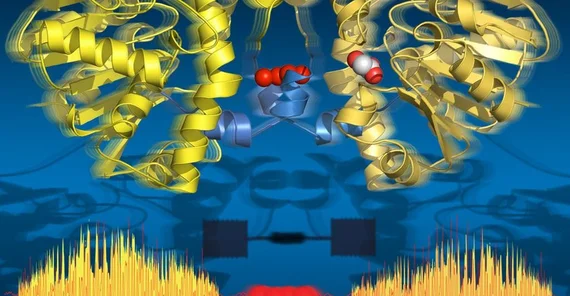 Abbildung: Wassermoleküle bilden eine molekulare Telefonschnur im Enzym Defluorinase, über die Informationen über den Zwischenstand der chemischen Reaktion weitergeleitet werden. Gafik: Jörg Harms/MPSD.