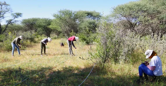 Data collection in the marked area