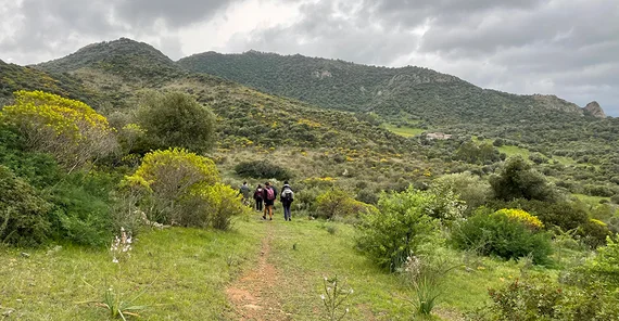 Das Bild zeigt die Potsdamer Studierenden bei einer Wanderung auf dem meernahen Hügel südöstlich von Sarroch. Foto: Juliane Seip