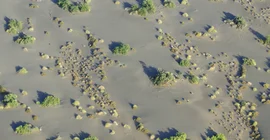 Luftaufnahme vom Suguta-Tal in Nordkenia. Foto: Martin Trauth