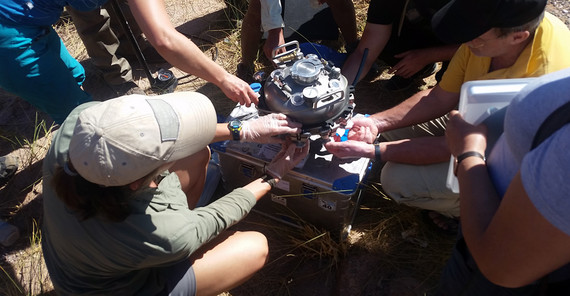 Sedimentfilter. Foto:Malte Stornow.