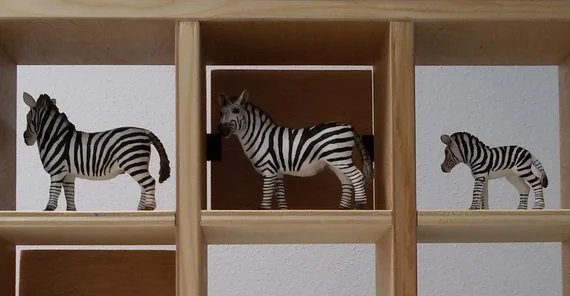 Test setup of XPRAG. Photo: Choonkyu Lee.