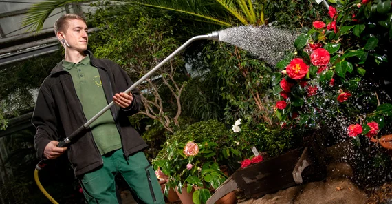 Für Kiron Wahl ist die Arbeit im Botanischen Garten ein Privileg. | Foto: Thomas Roese