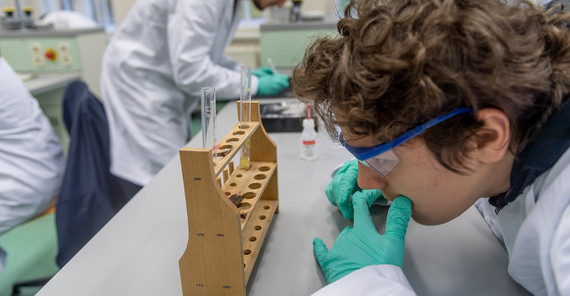 Kartoffel im Reagenzglas. Schüler des Leibnizgymnasiums untersuchen im Biologieunterricht an der Uni die Enzymwirkung der Katalase