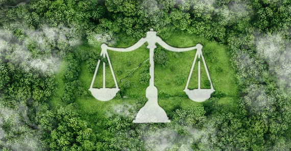 Waage der Gerechtigkeit. Im Hintergrund sind Bäume aus der Vogelperspektive zu sehen.