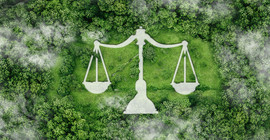 Waage der Gerechtigkeit. Im Hintergrund sind Bäume aus der Vogelperspektive zu sehen.