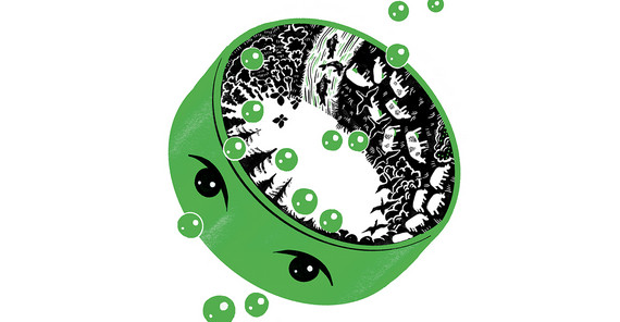 Illustration ökologischer Prozesse