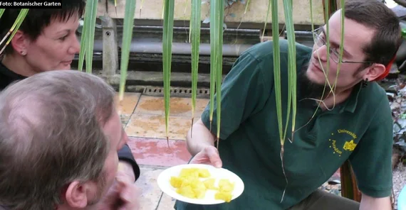 Exotische Früchte (Botanischer Garten)