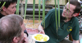 Exotische Früchte (Botanischer Garten)