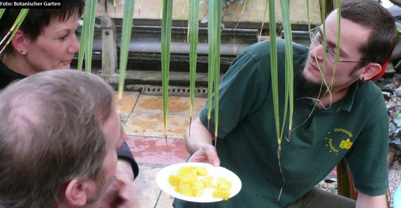 Exotische Früchte (Botanischer Garten)