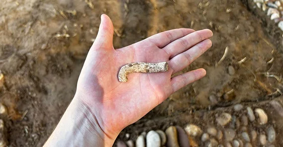 Auf dem Foto ist eine Hand zu sehen in deren Handfläche ein nicht ganz fingerdickes, zylinderförmiges Stück Blei mit starker weißer und brauner Patina liegt. Das knapp 10 cm lange Objekt ist am Ende gebogen.