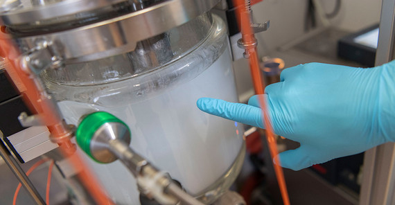 Die Lösung geliert und ihre Farbe schlägt auf Weiß um. Den Viskositätsanstiegspunkt, ein Maß für die Zähflüssigkeit der Lösung, lesen die Wissenschaftler am relativen Drehmoment ab, das dann seinen höchsten Wert hat.