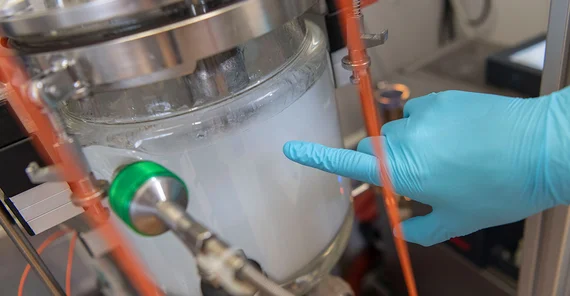 The solution gels and its color changes to white. The researchers determine the viscosity increase point, a measure for the viscosity of the solution, by reading the relative torque, which reaches its highest value at that point.