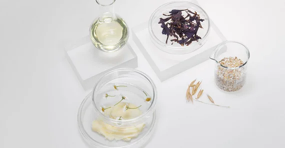 Mikrobiologische Forschung hilft bei der Entwicklung hautverträglicher Pflegecreme auf der Basis natürlicher Inhaltsstoffe | Foto: Reflora Skin