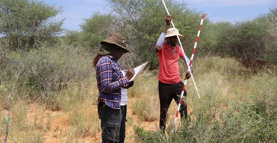 Zwei Forschende führen wissenschaftliche Messungen in der afrikanischen Savanne durch
