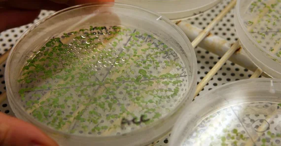 Picture: Andreas Klaer