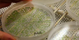 Picture: Andreas Klaer