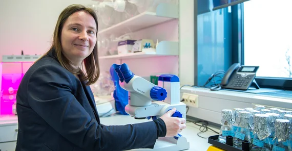 Prof. Dr. Elke Dittmann. Photo: Thomas Roese.