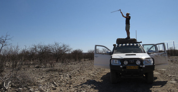 Dr. Niels Blaum beim Tracking auf dem Projektwagen | Foto: R. Hering