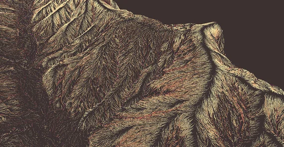 Punktwolkenaufnahmen von Santa Cruz Island | Foto: Prof. Dr. Bodo Bookhagen