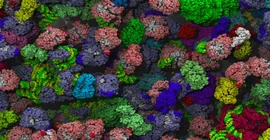 In the “molecule soup” of cells, it is “like on a train platform after a football match. They all bump into each other,” the physicist says. Picture: Adrian Elcock