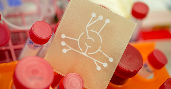 Das Herz des Wasserschnelltests. Foto: Thomas Roese. Das Herz des Wasserschnelltests. Foto: Thomas Roese.