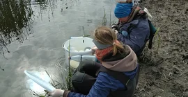 Two students are squatting with a fish trap at the edge of a body of water.
