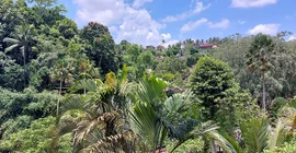 Häuser inmitten des balinesischen Dschungels