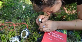 Frau beugt sich über eine Pflanze und betrachtet sie durch eine Lupe