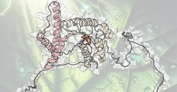 Computer-generated illustration of a protein