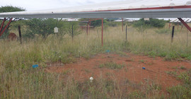 Experimental site in South Africa. Under a simple roof outdoors, a bare patch in the vegetation on the ground can be seen.