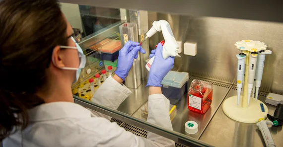 Die Arbeitsgruppe von Katja Hanack hat ein neuartiges Testsystem für das SARSCoV-2-Virus entwickelt. | Foto: Tobias Hopfgarten