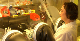 Untersuchungen von Polymeren- Foto: Frank Jaiser.