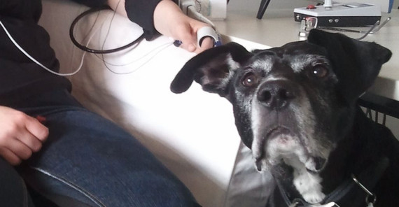 Foto: Anne Springer Foto: Anne Springer