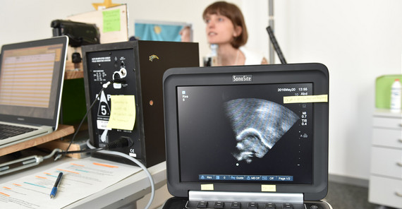 Im Experiment wird unter anderem die Bewegung der Zunge untersucht. Foto: Karla Fritze Im Experiment wird unter anderem die Bewegung der Zunge untersucht. Foto: Karla Fritze