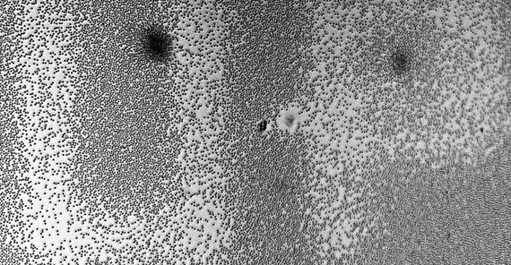 Foto: Initialen der Universität Potsdam, geschrieben in der Monolage von Mikropartikeln. Foto: Prof. Dr. Svetlana Santer.